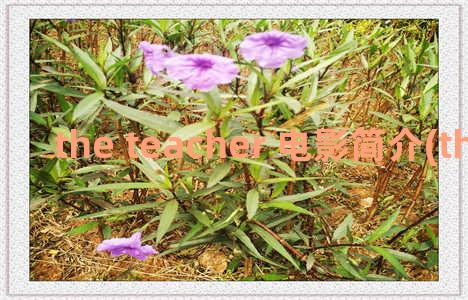 the teacher 电影简介(the teacher 美剧)